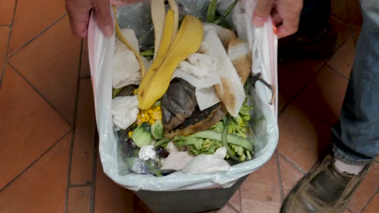 Same-Day Junk Removal Services